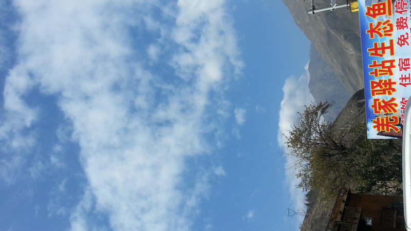 IMG_20151123_131609_790.jpg