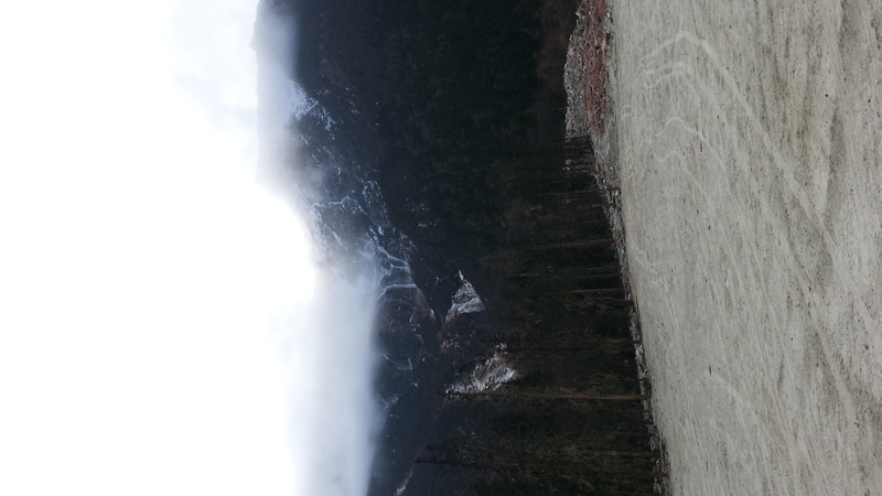 IMG_20151124_102501_780.jpg