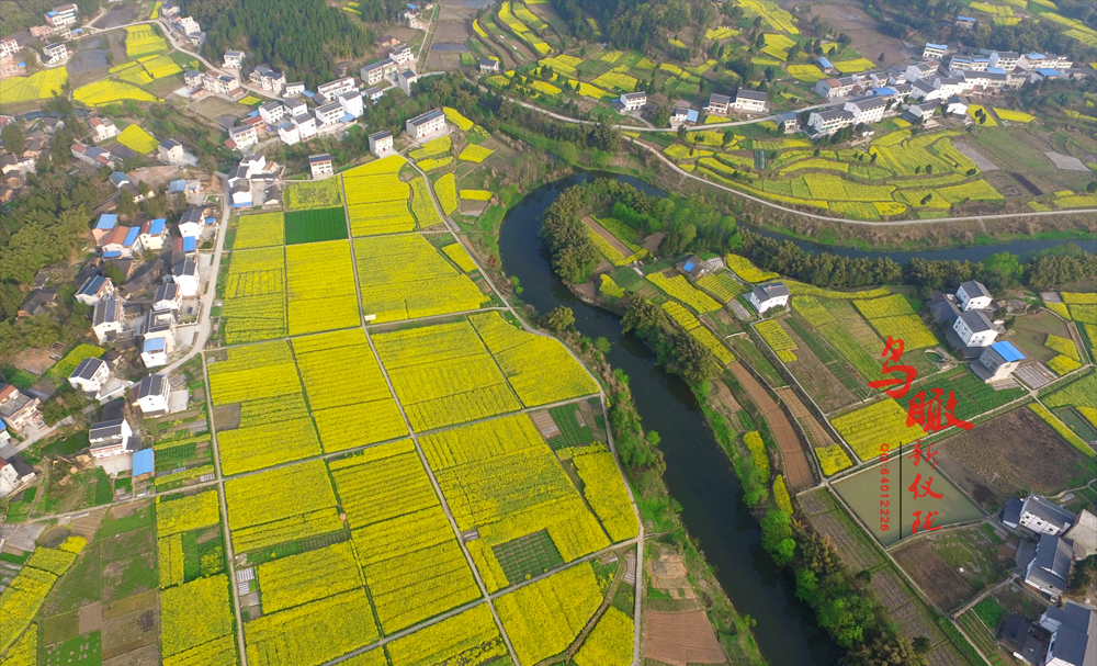 DJI_0008.jpg