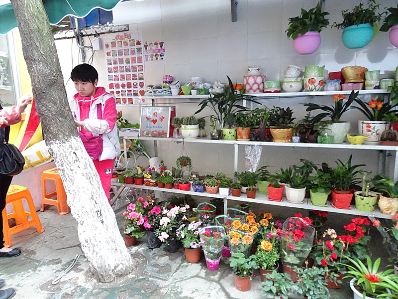 DSC03185_.jpg