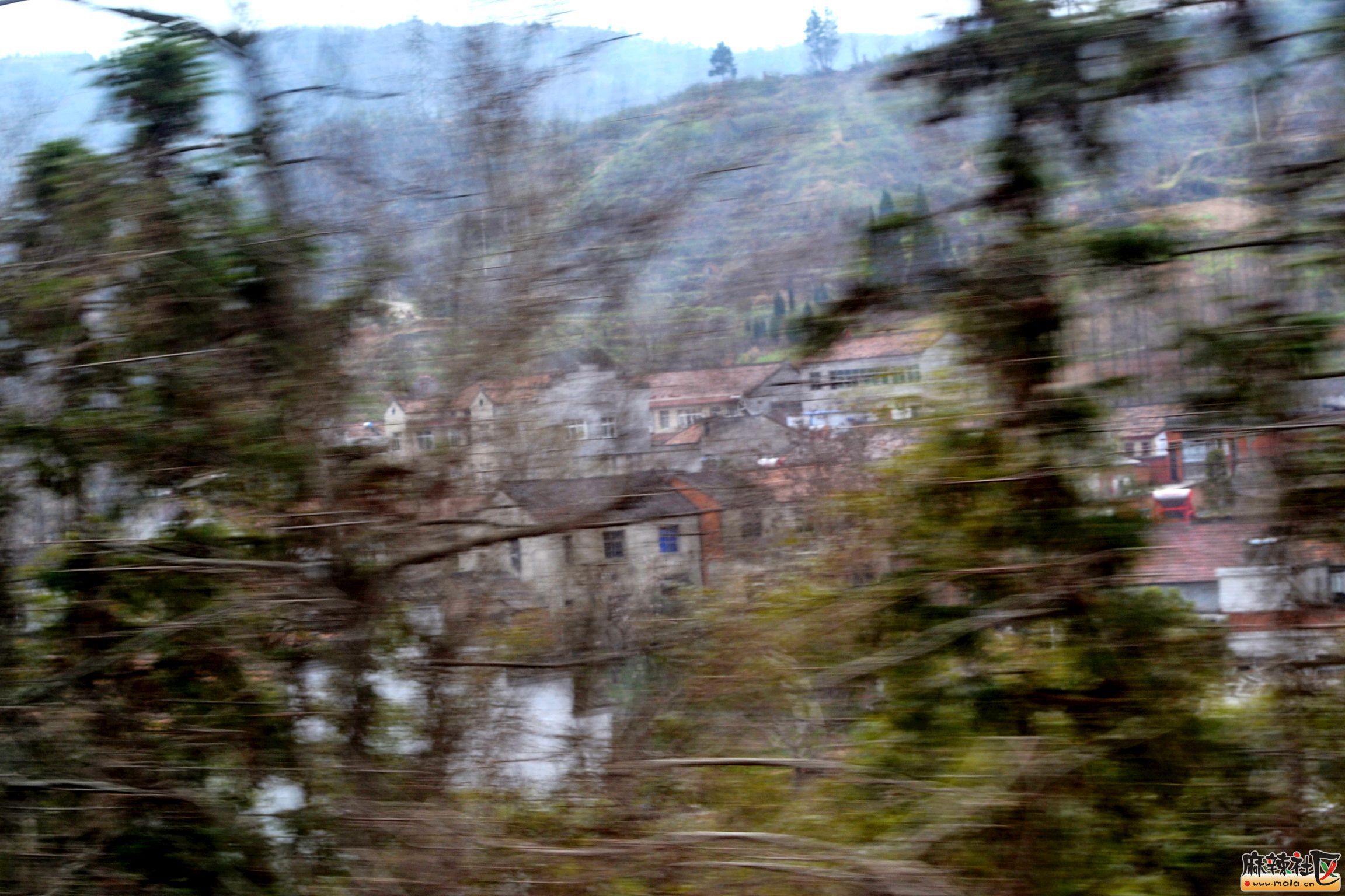 DSC_5633.JPG