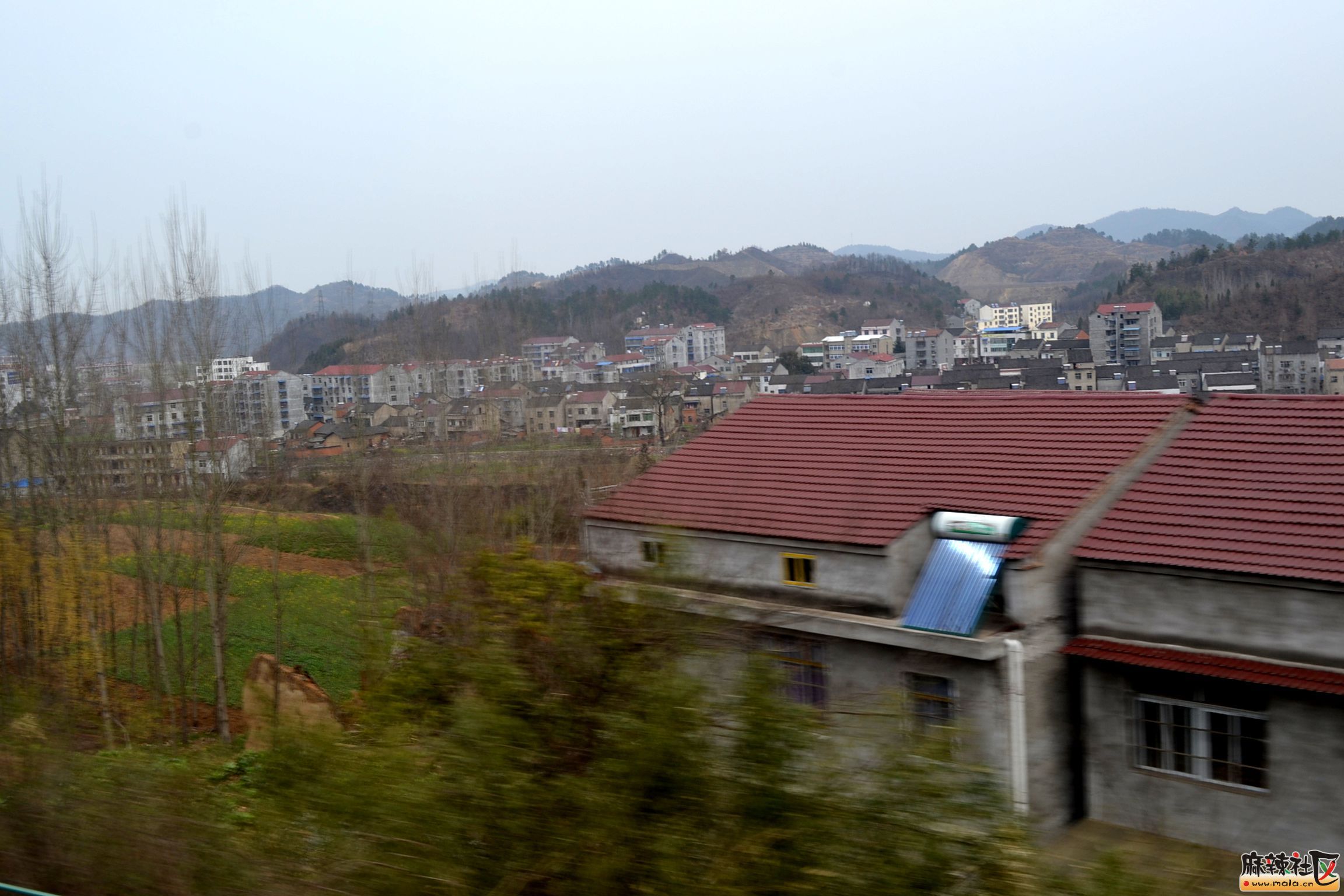 DSC_5648.JPG