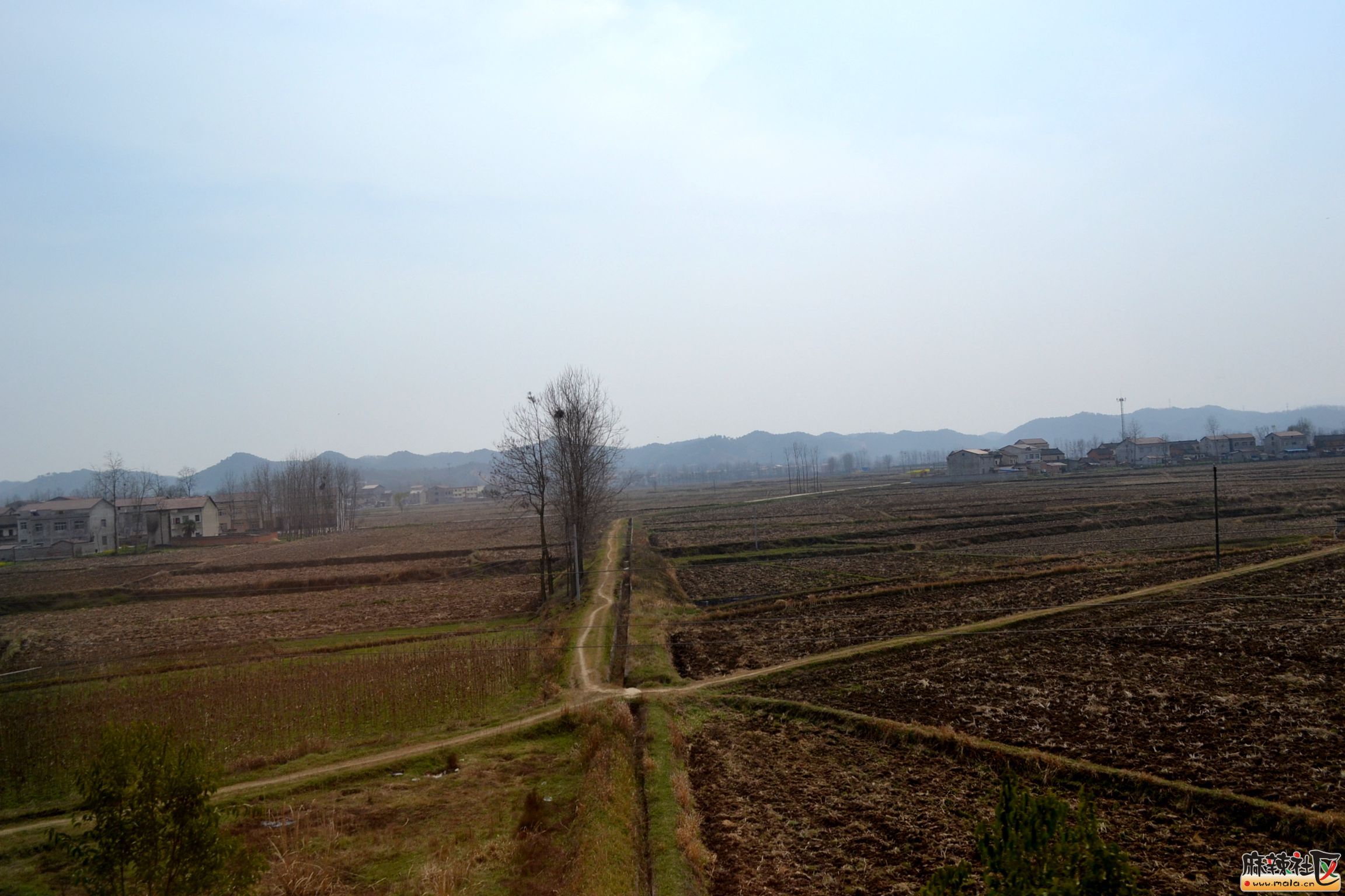 DSC_5651.JPG