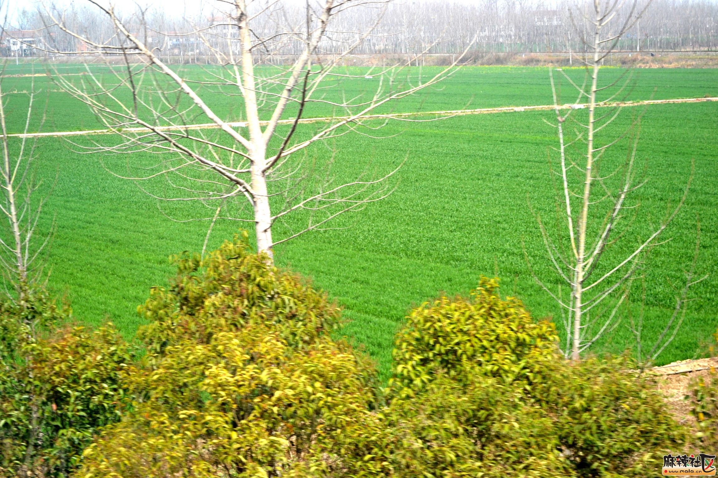 DSC_5662.JPG