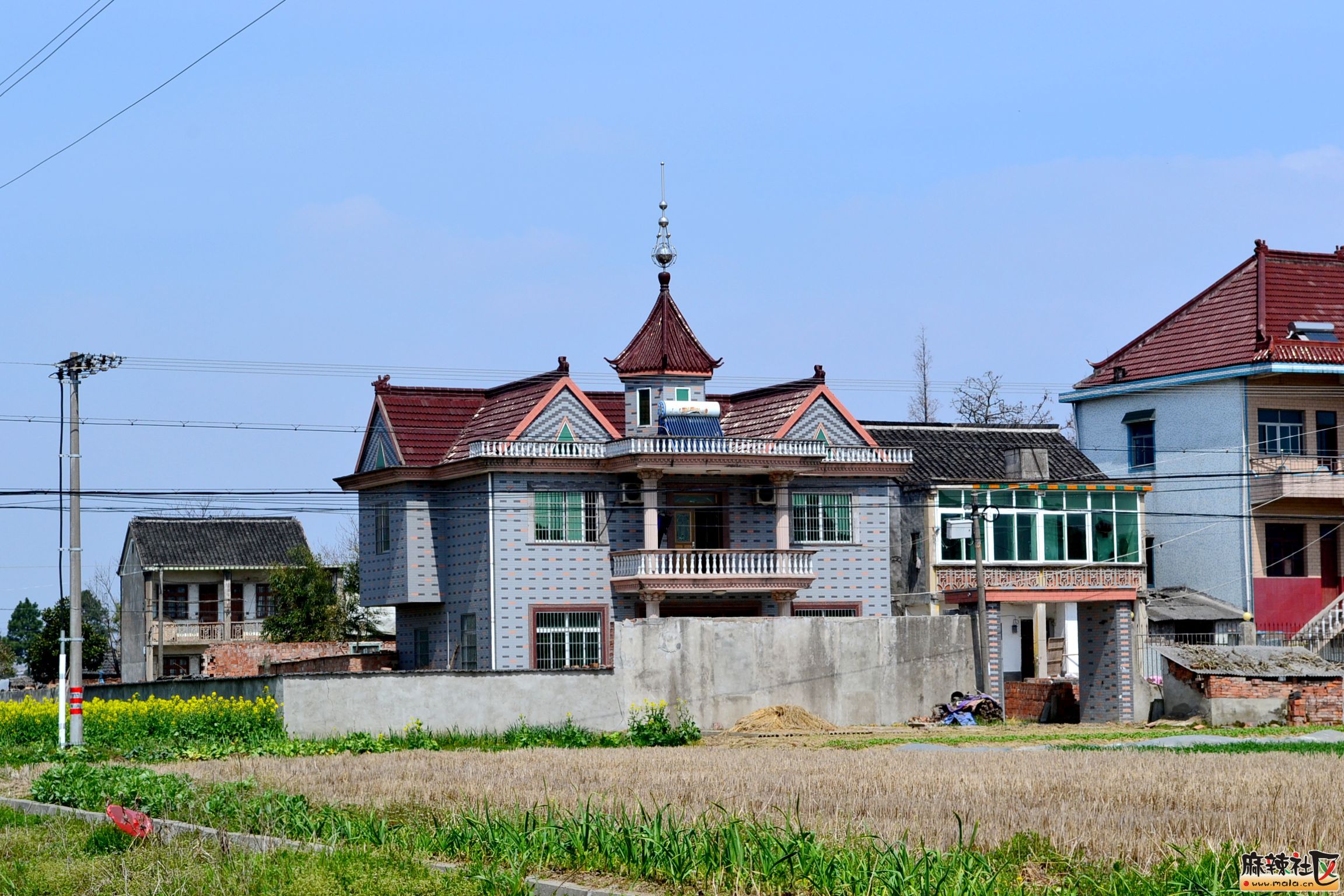 DSC_5853.JPG