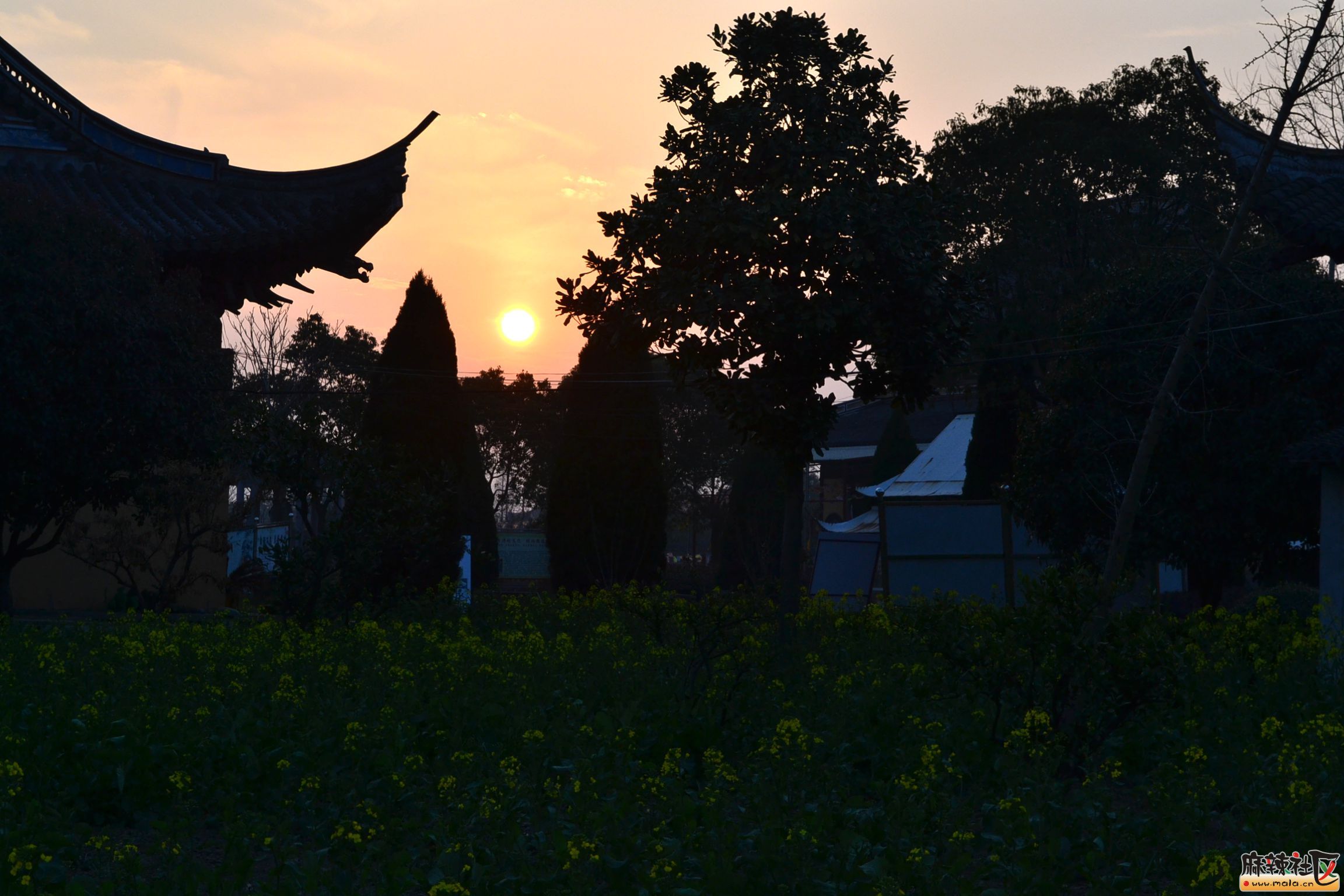 DSC_5982.JPG