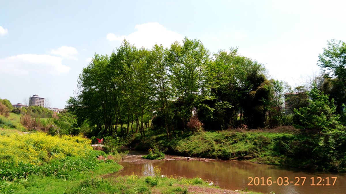 IMG_20160327_121717.jpg