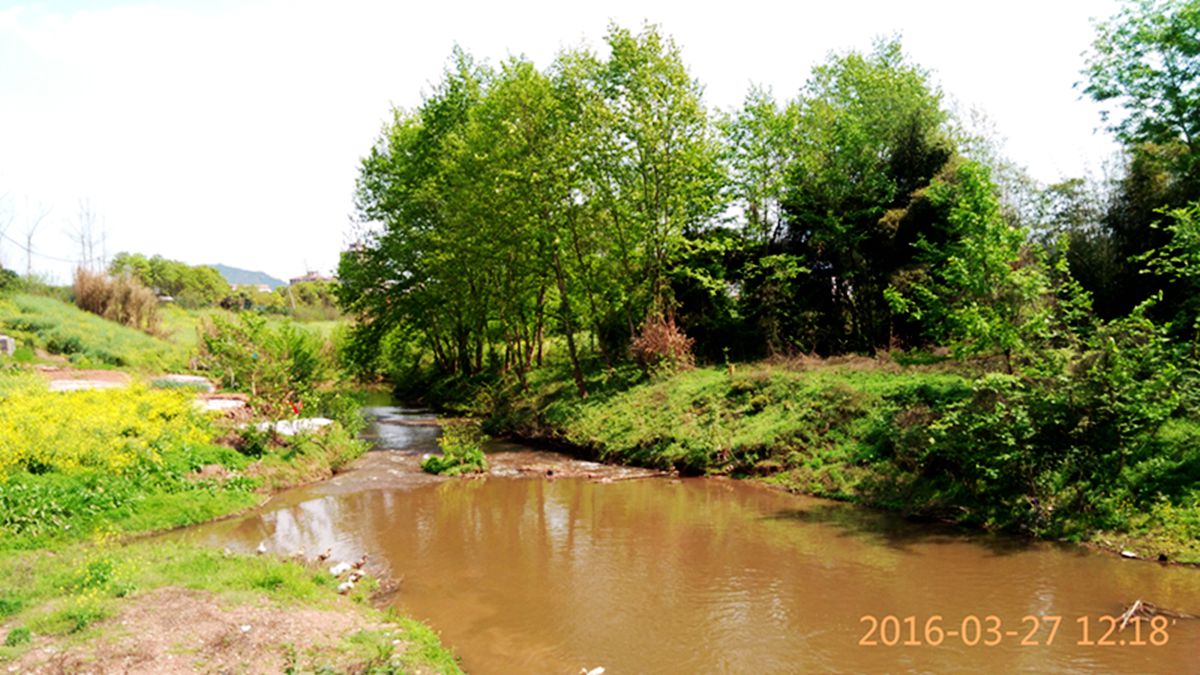 IMG_20160327_121850.jpg