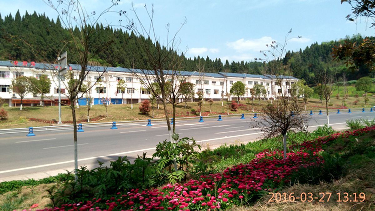 IMG_20160327_131953.jpg