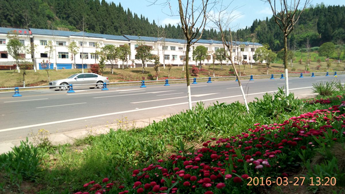 IMG_20160327_132056.jpg