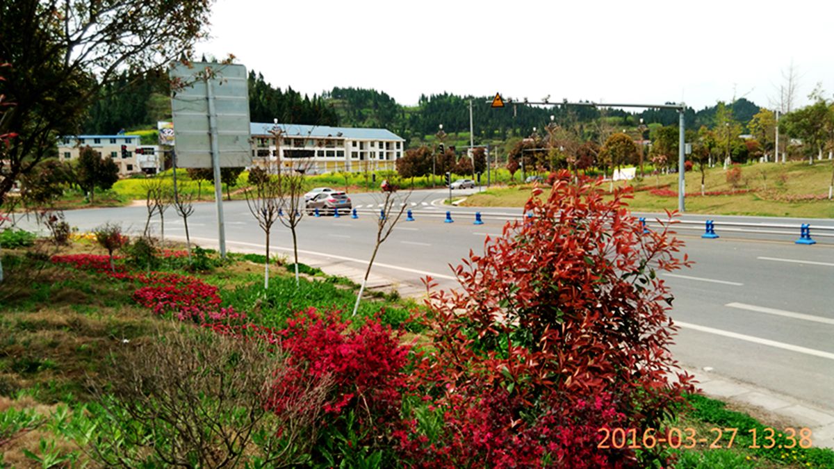 IMG_20160327_133807.jpg