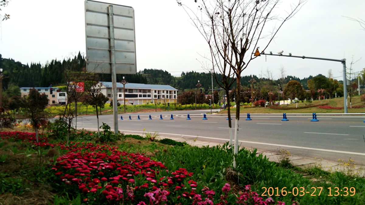 IMG_20160327_133914.jpg