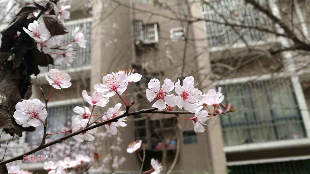 IMG_20160314_122826.jpg