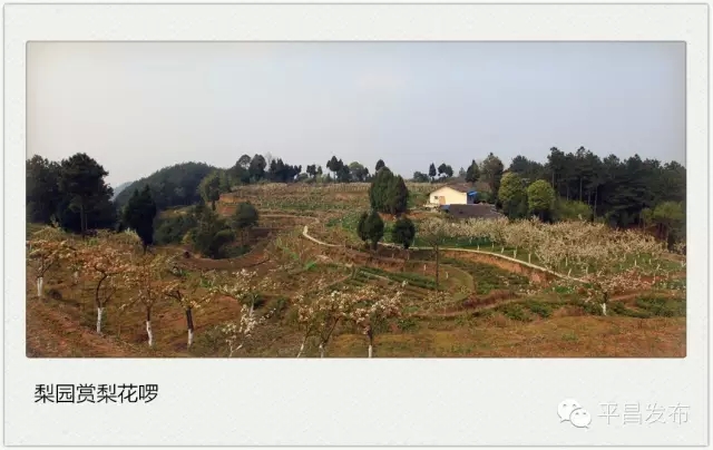 9.webp (8).jpg