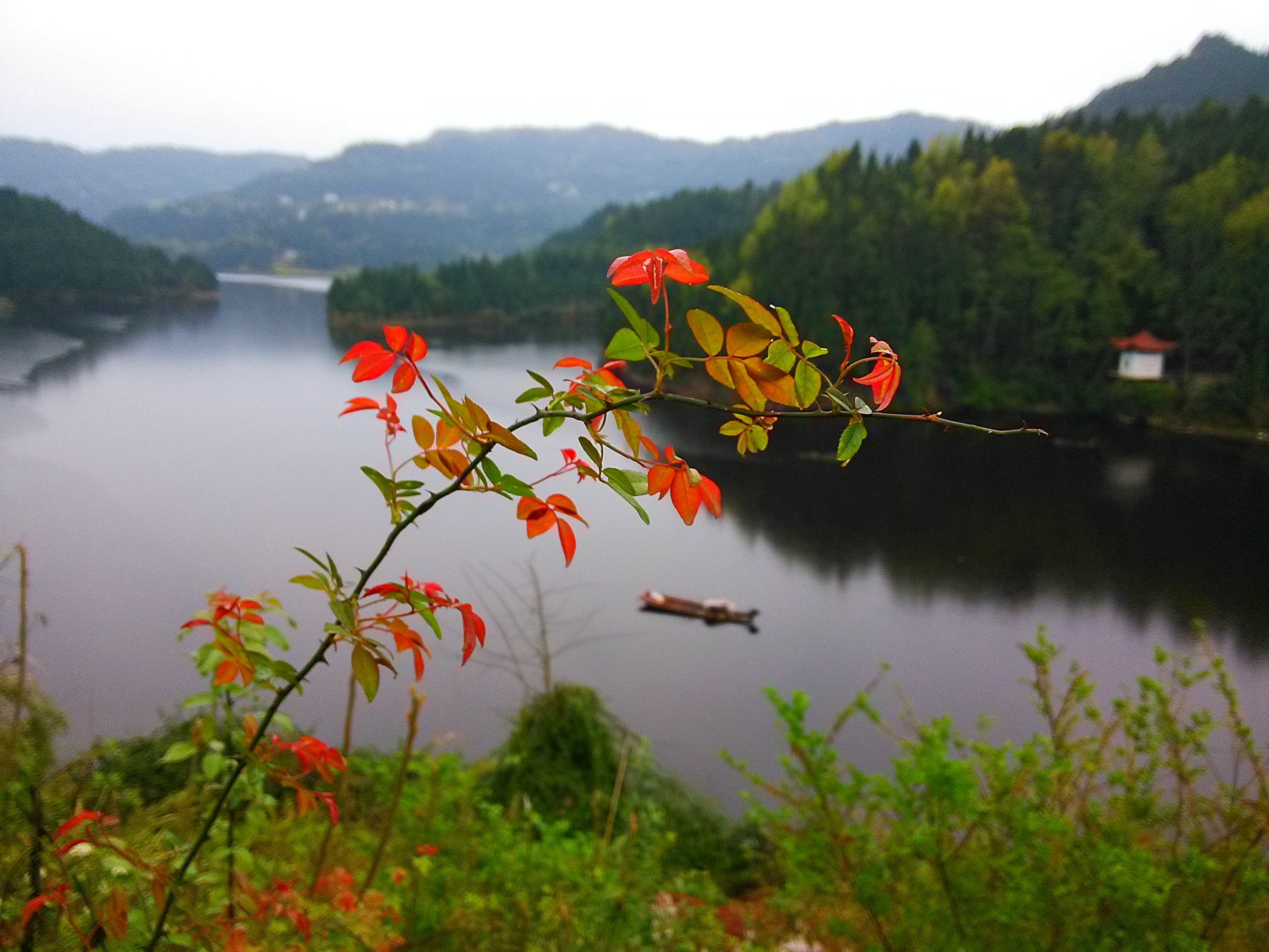 天青色去等烟雨 红尘清欢山水里(雨中骑行去楼梯沟水库)