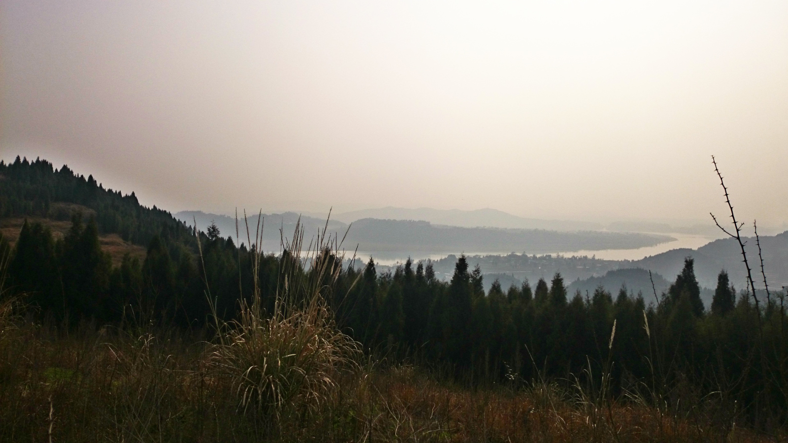 DSC_1060__10.jpg
