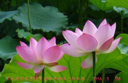 c70435e1434beb2b1d68f864df8f8c81_.jpg