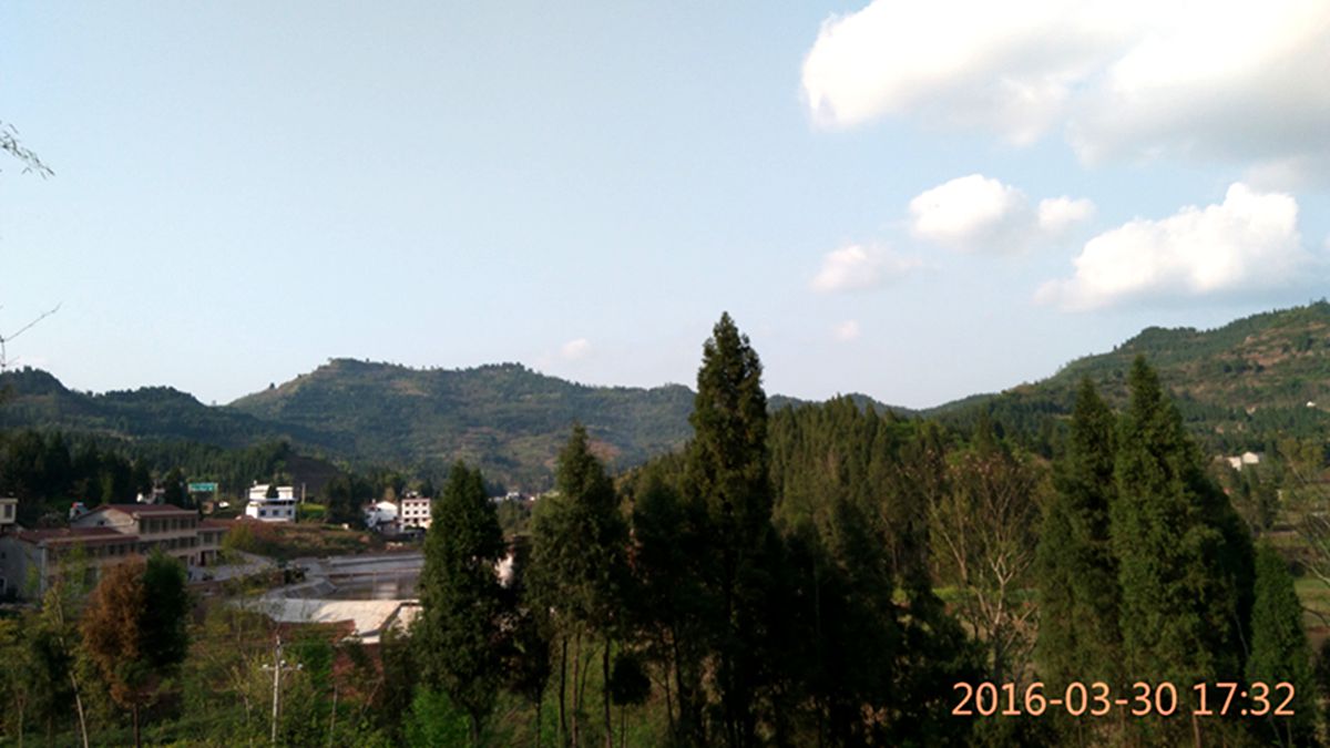IMG_20160330_173259.jpg