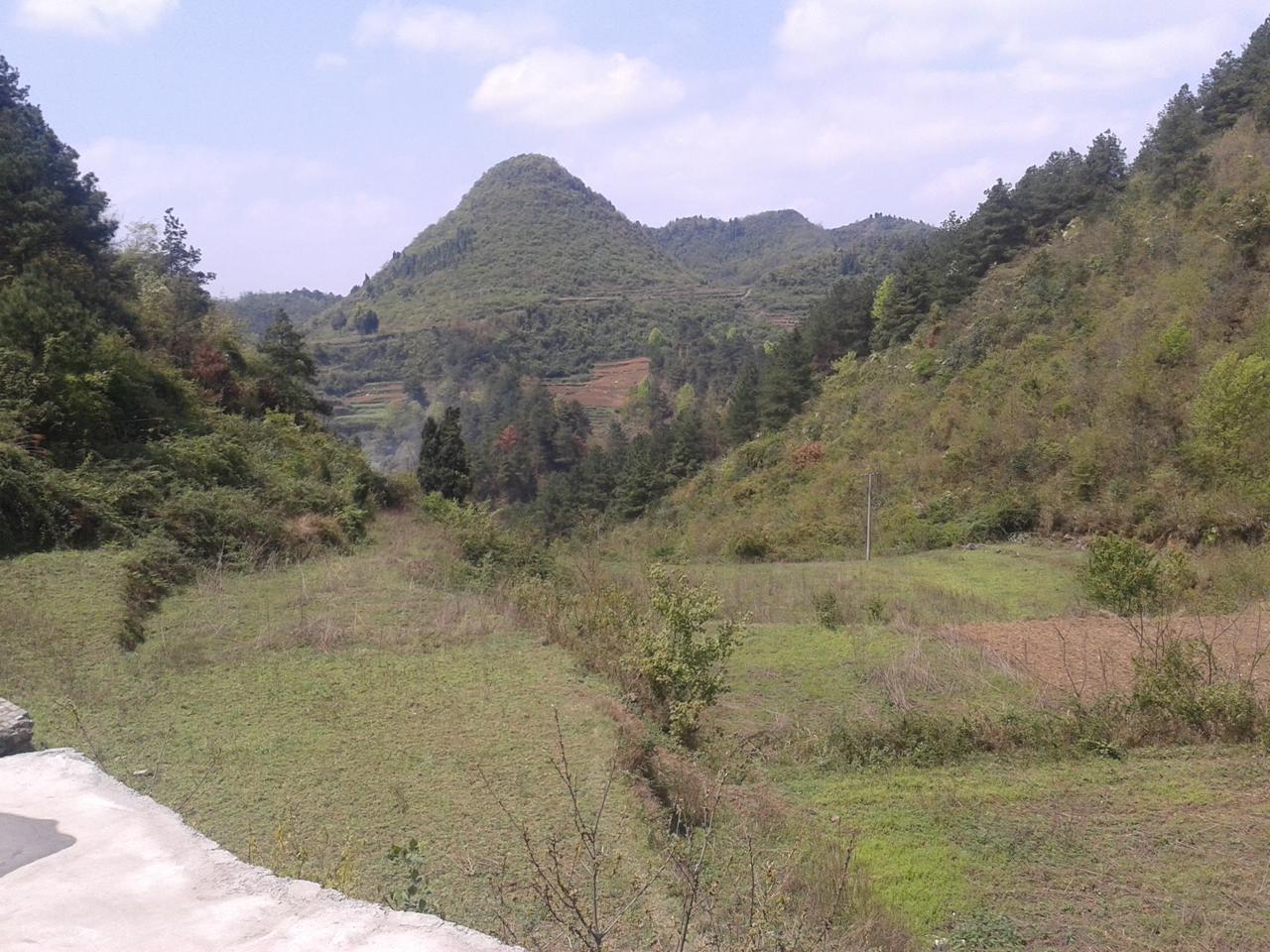 20160330_135222.jpg