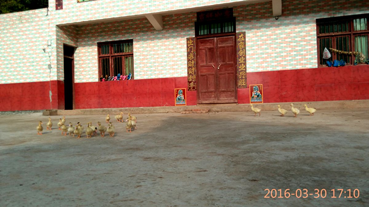 IMG_20160330_171025.jpg