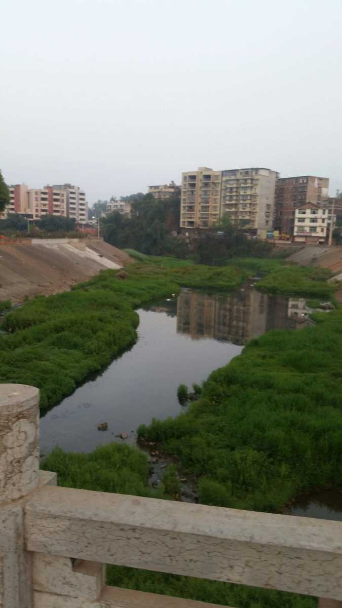 宜宾县观音镇河道污水处理问题,希望有关部门严查下!