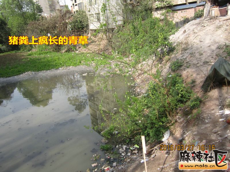 Ƭ 026.jpg