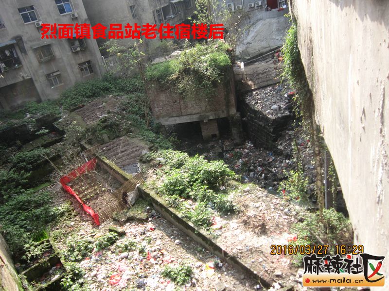 Ƭ 036.jpg