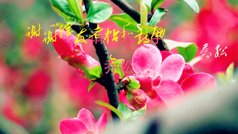 ͼ20152256432841__.gif