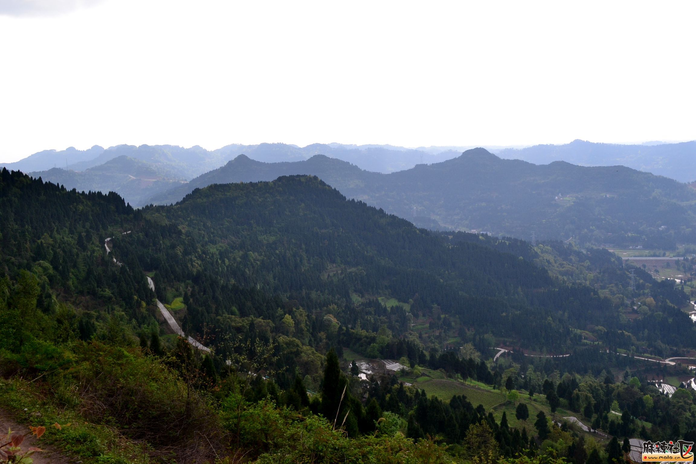 DSC_7207.JPG