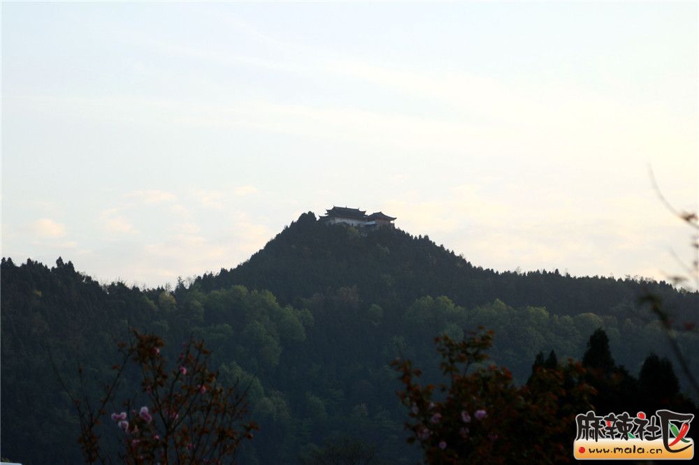 IMG_6500.JPG