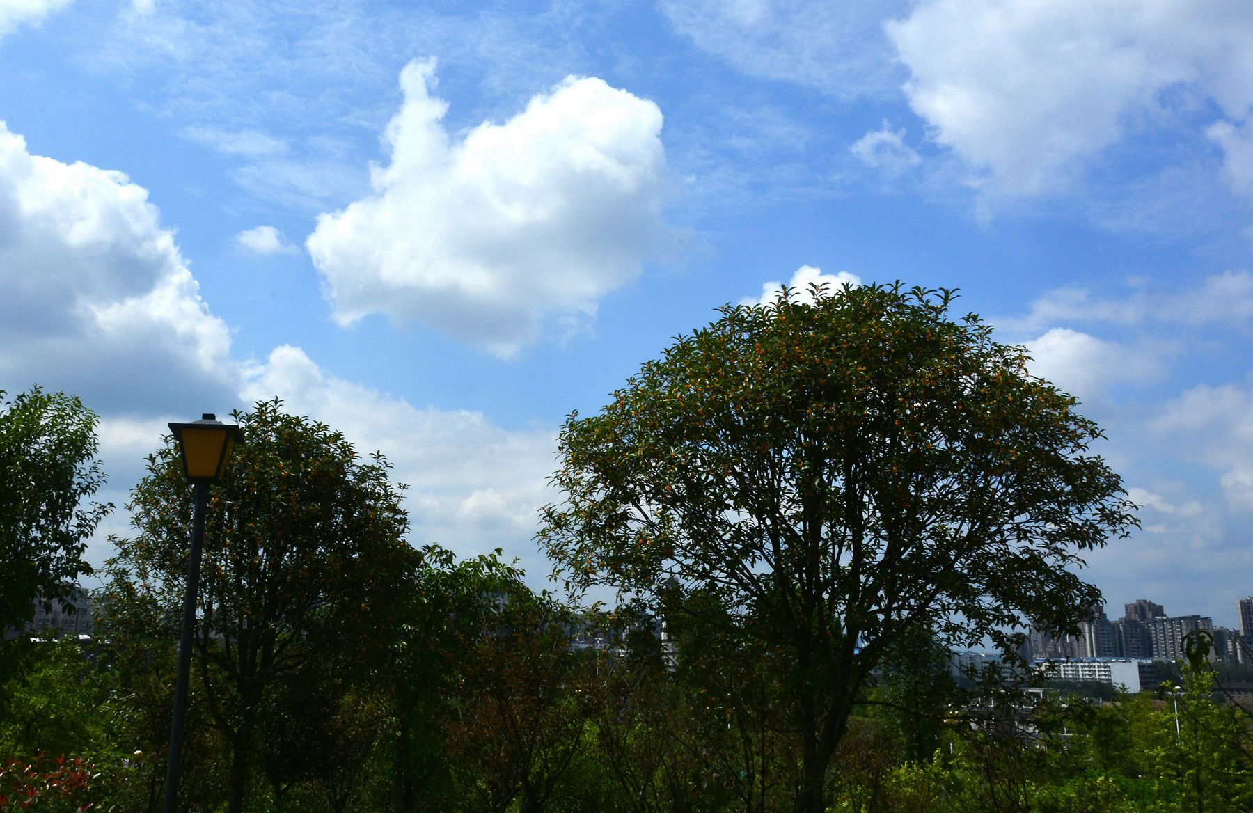 _DSC2370__.jpg