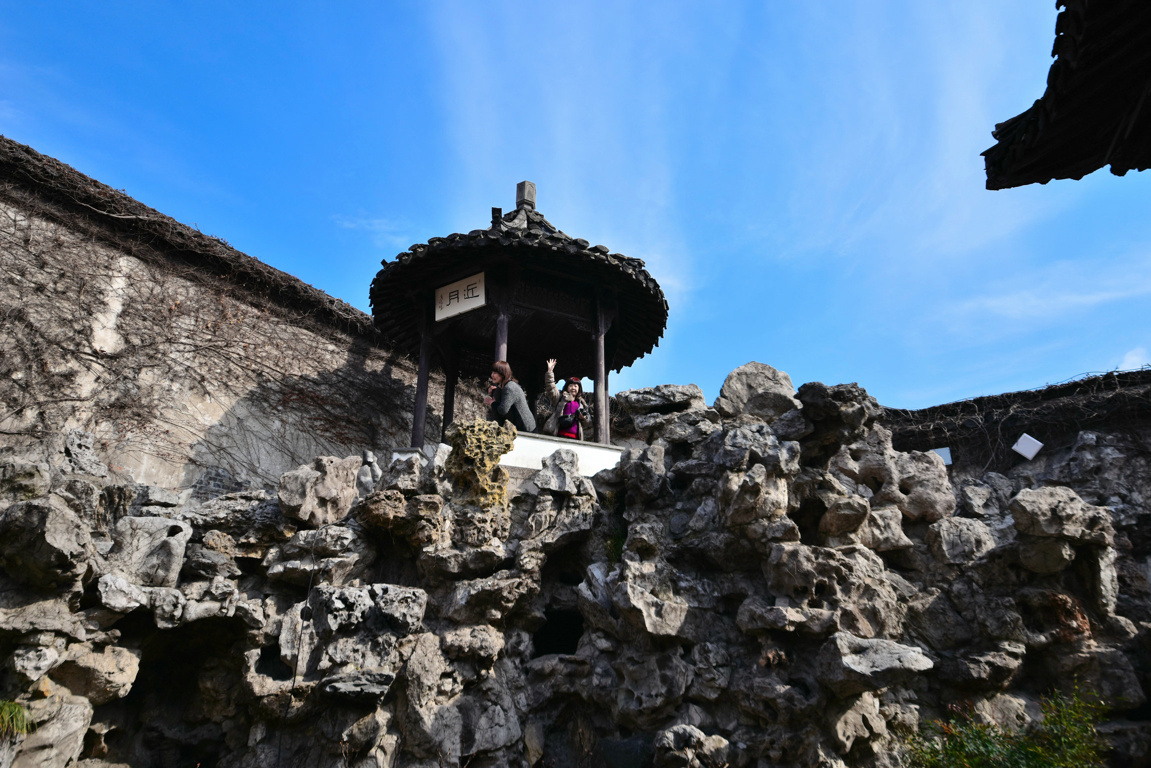 DSC_4944.JPG