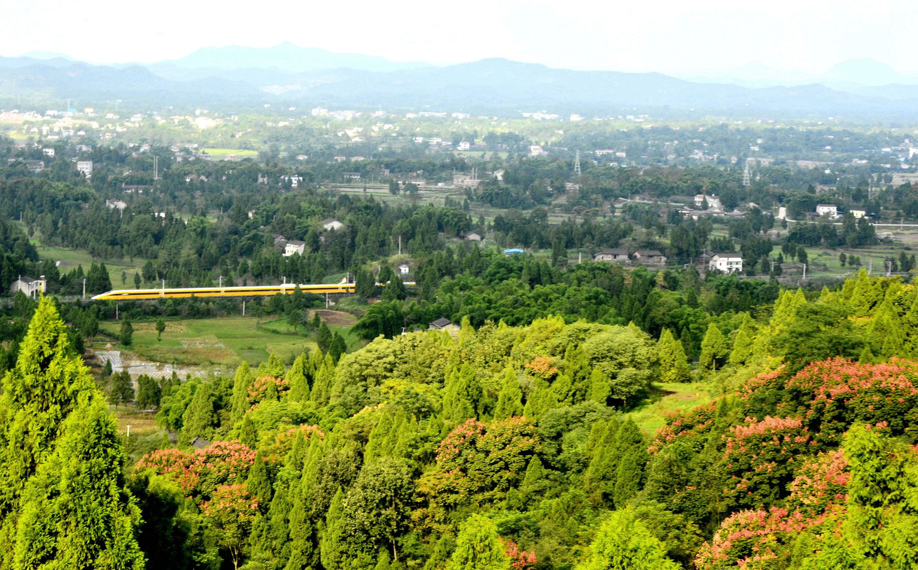 _DSC2465__.jpg