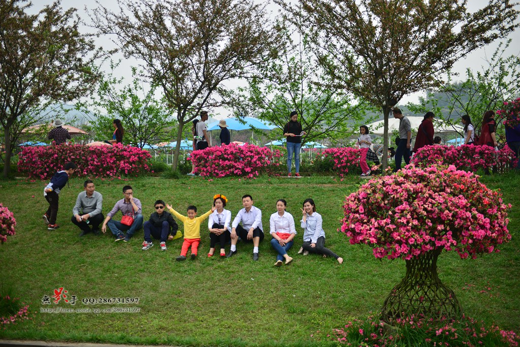 DSC_3992.jpg