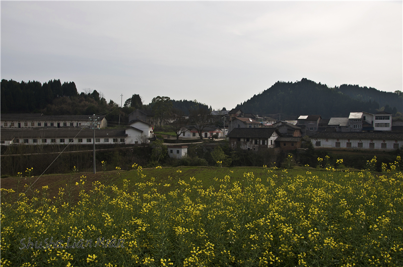 DSC_0614.jpg