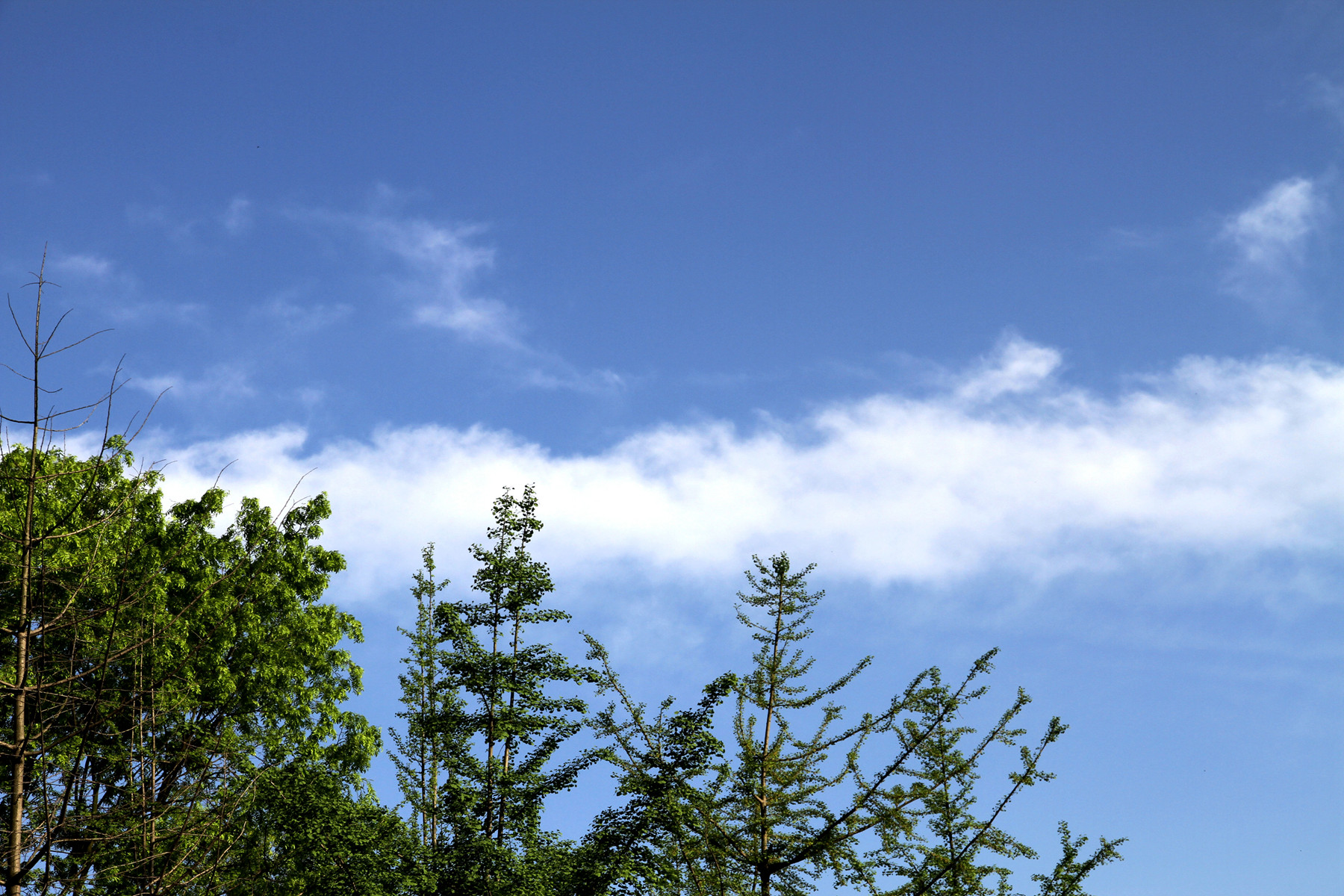 4月6日,雨過天晴