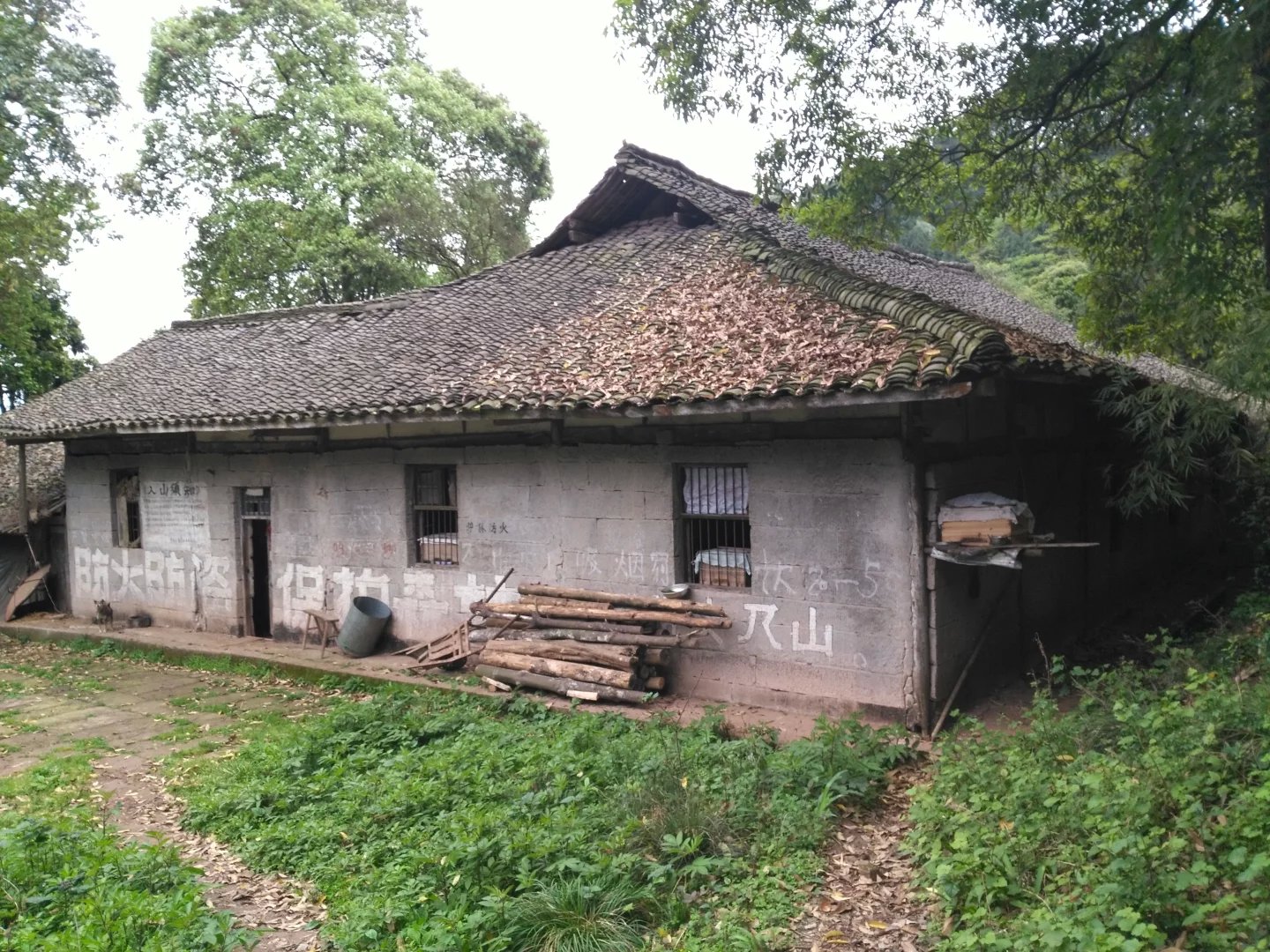 15.jpg