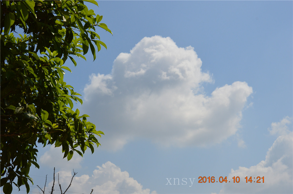 DSC_0003.JPG