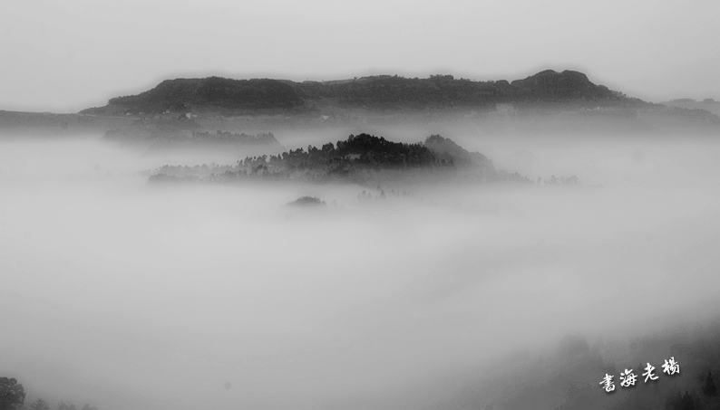 DSC_3106_.jpg