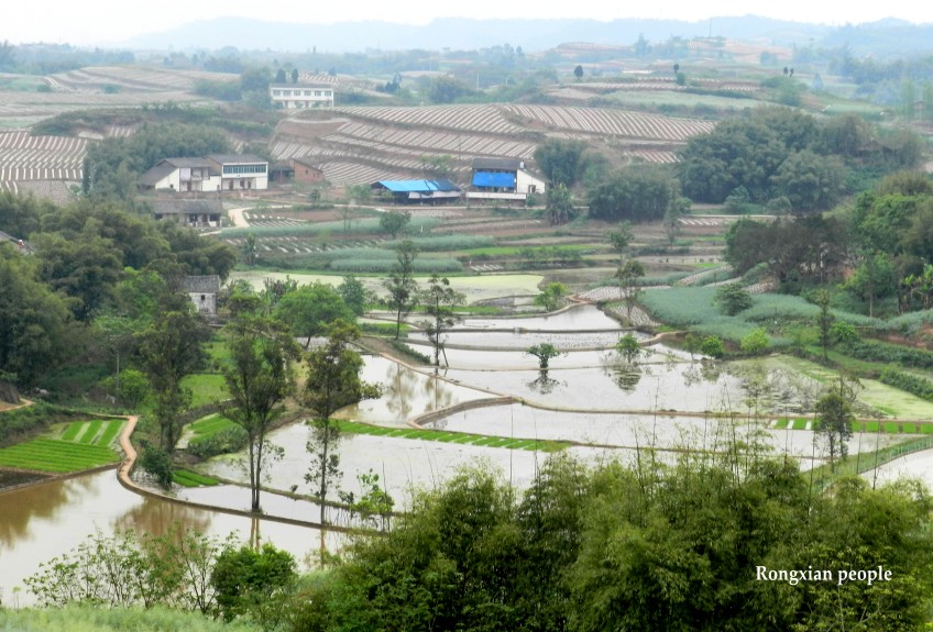 Ƭ 049_conew1.jpg