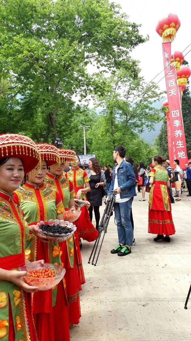 桑紫樱红德昌行