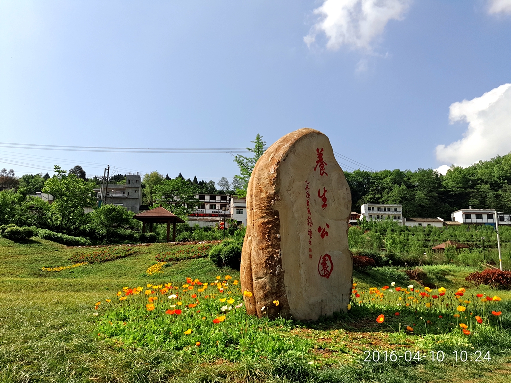 P60410-102415.jpg