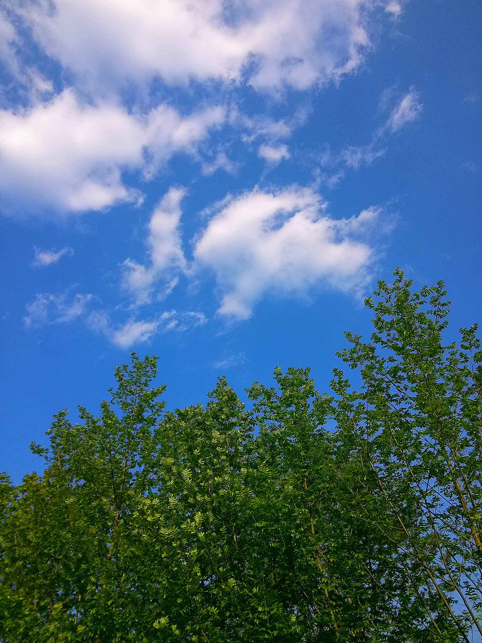IMG_20160326_163512.jpg