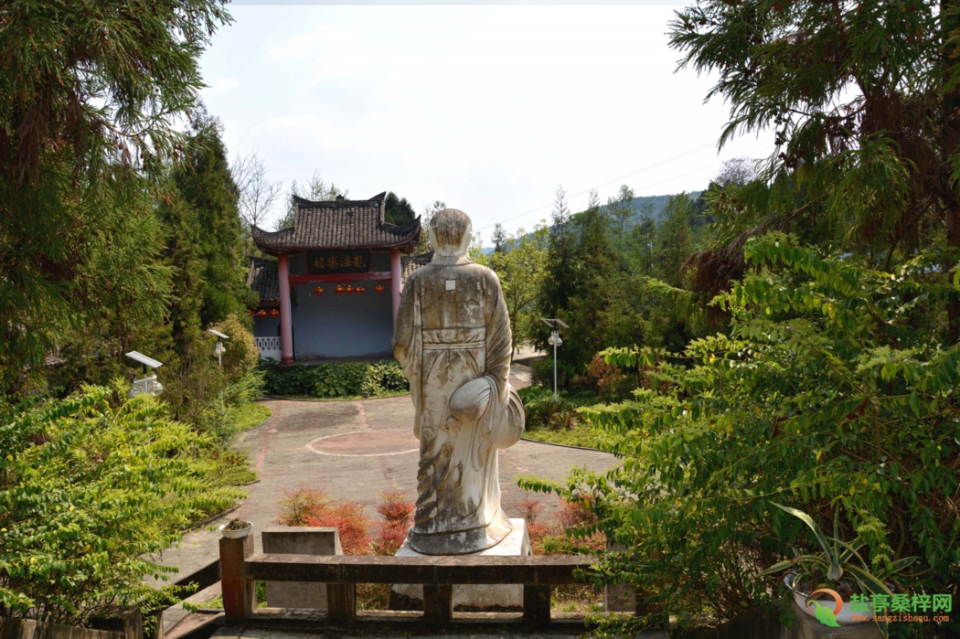 110335nszwq95m5husneha.jpg