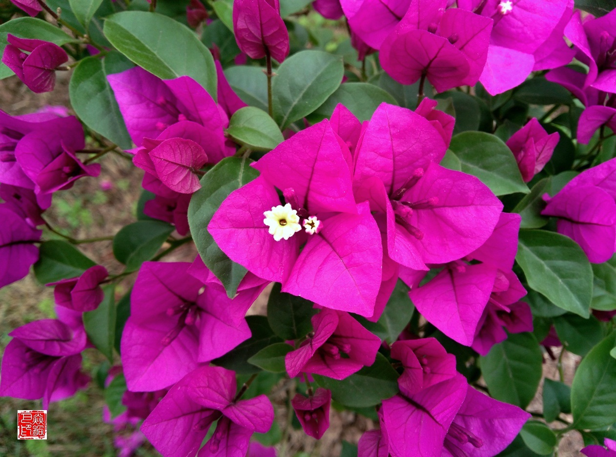 IMG_20160407_084816.jpg