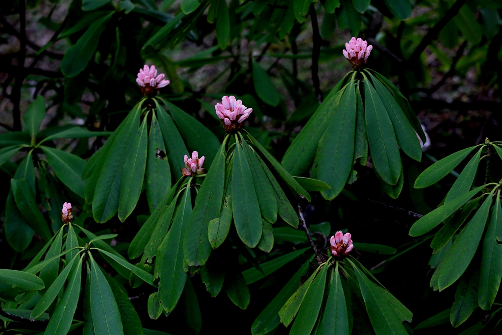 ǻӰ07.jpg