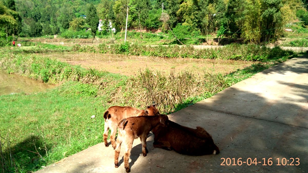 IMG_20160416_102330.jpg