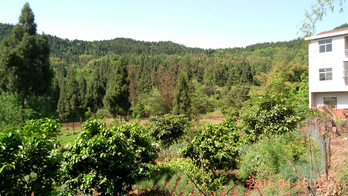 IMG_20160416_102725.jpg