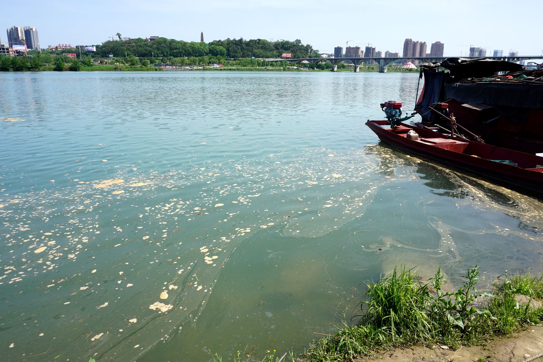 今天下午,嘉陵江惊现"污染带"