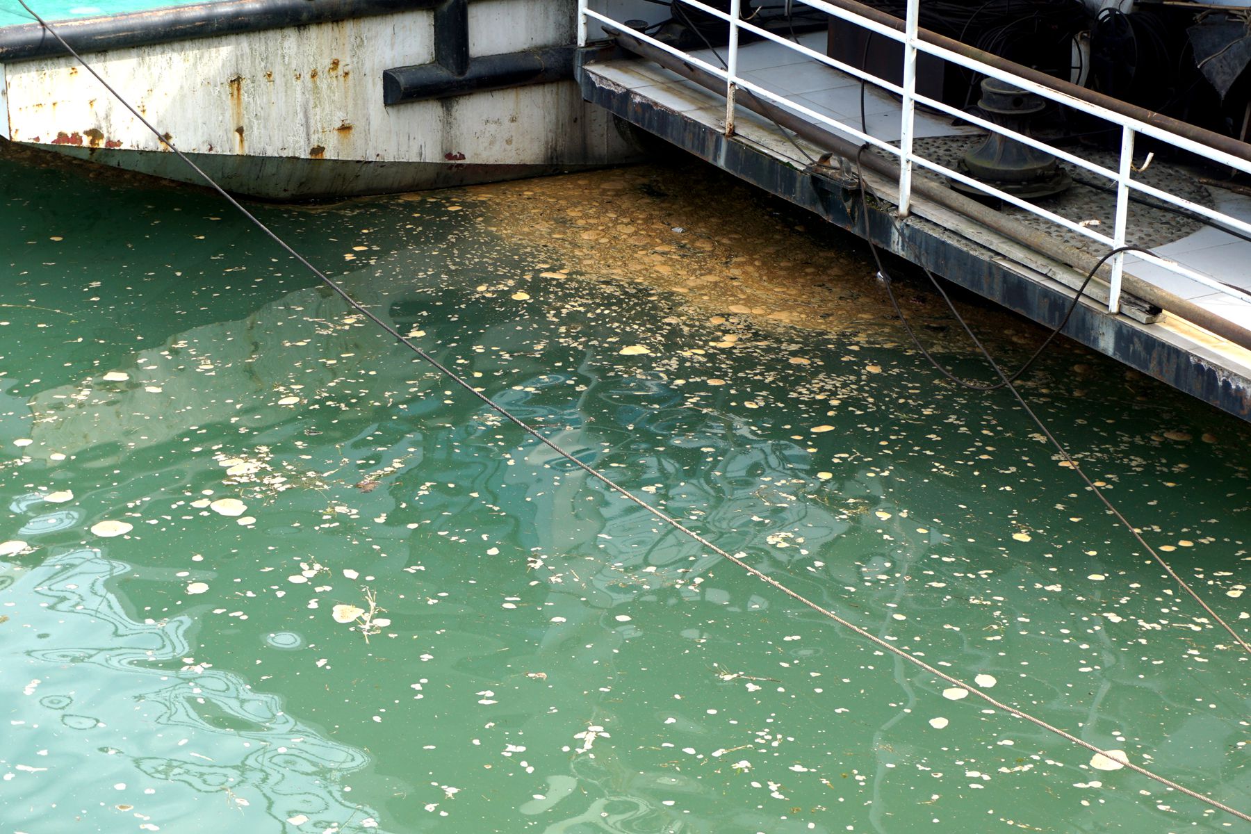 今天下午,嘉陵江惊现"污染带"